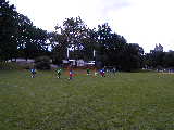 Click to see P9160029.JPG